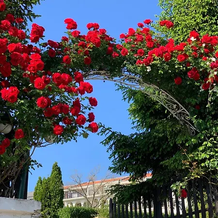 Kambani 1 アパート *