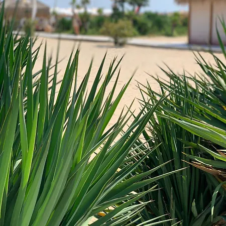 Kambani 1 * スヴェティ・ヴラス