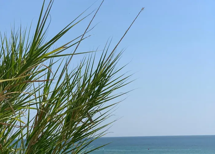 Апартаменты Kambani 1 Свети-Влас